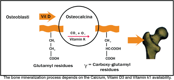 kalicdplus